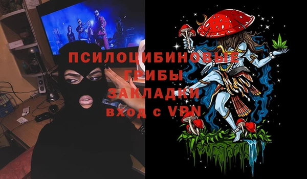 крисы Красноперекопск