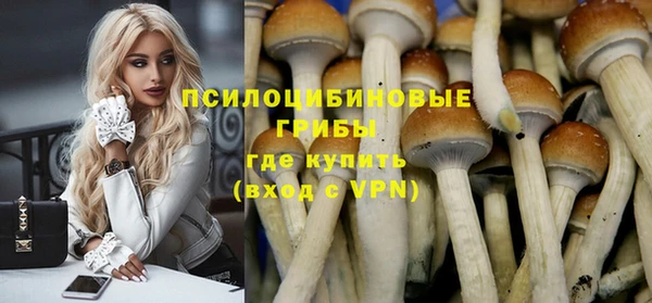 крисы Красноперекопск