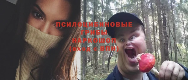 Альфа ПВП Кукмор