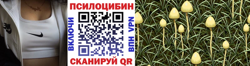 Купить  Мантурово  Псилоцибиновые грибы прущие грибы 